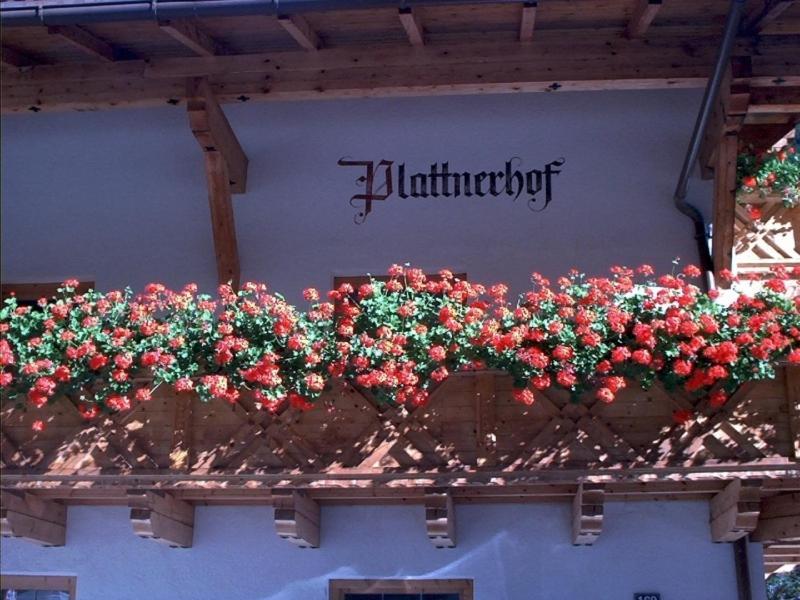 Plattnerhof カウナータール 部屋 写真
